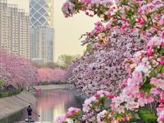 -元大都城垣遗址公园