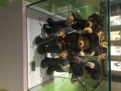 泰迪熊博物馆-成都泰迪熊博物馆