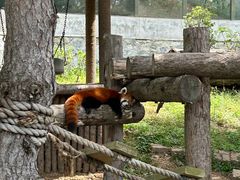 -大连森林动物园