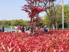 -石湖景区