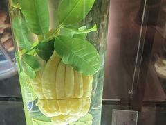 -广东中医药博物馆