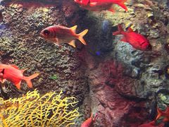 -太平洋海底世界