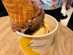 -LUNEURS月乐诗·法式冰淇淋(环贸店)