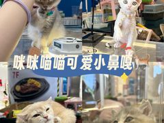 -金茂览秀城