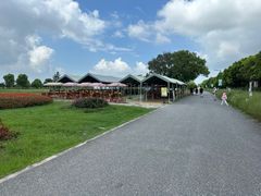-嘉北郊野公园