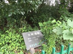 五云山-西湖风景区十里琅珰-五云山