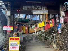 -宫城藏王狐狸村