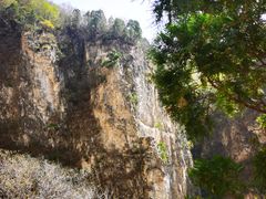-藏山旅游风景区