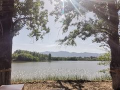 -翠湖国家城市湿地公园