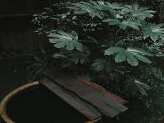 -书隐楼
