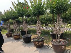 -南通洲际绿博园