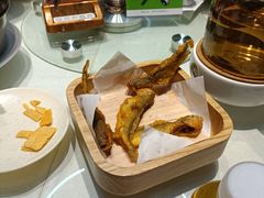 -三强鸽子(胜利路店)