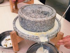 -麻涌飞鸭开心农场