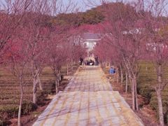 -狐尾山公园