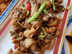 -津津乐乐
