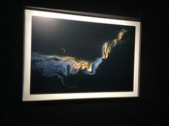 -罗红摄影艺术馆