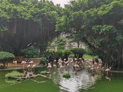 -九龙公园