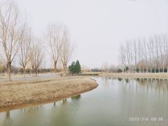 -东郊湿地公园
