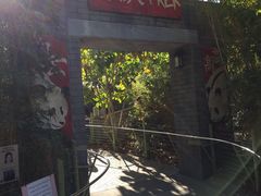 -圣地亚哥动物园