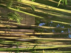 -一粥(华侨城创意文化园店)
