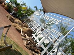 -Blue Concept Cafe&Farm·關於藍