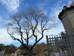 -景福宫