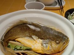 -蔡澜点心·粤菜(花城汇南区店)