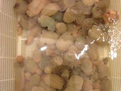 iphone_upload_pic-白金汉爵大酒店(相城店)