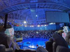 -烟台海昌鲸鲨海洋公园