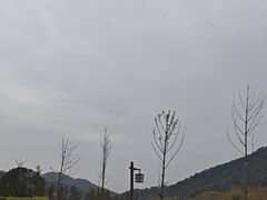 -千年银杏谷文化旅游区