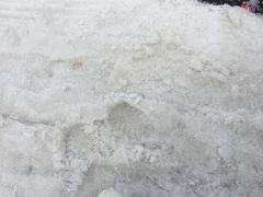 -鳌山滑雪度假区
