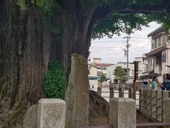 -医王山·飞騨国分寺
