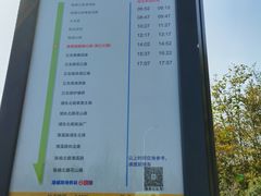 -上海滨江森林公园