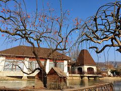 -静之湖湖畔餐厅
