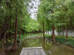 -尚湖风景区