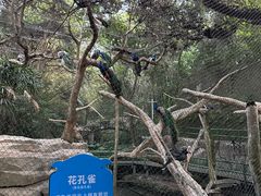 -青青世界