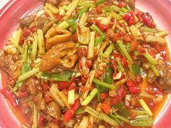 鲜椒仔姜爆肥肠-冯大腕江湖川菜馆(后沙峪店)