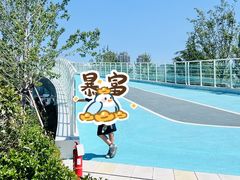 -小麦岛公园
