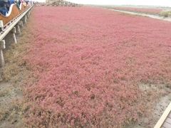 -盘锦红海温泉乐园