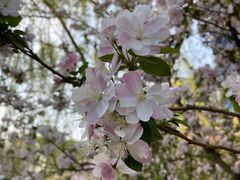 -海棠花溪(元大都城垣遗址公园)