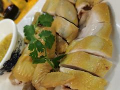 -鸽王世家(东华东路店)