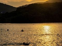 -佛手湖郊野公园