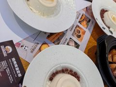 -美食小镇·观赏珍稀鸟类·长隆熊猫酒店