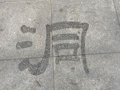 -湖南东洞庭湖国家级自然保护区