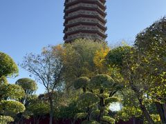 -西海子公园