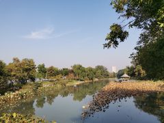 -玄武湖景区-情侣园游乐场