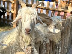 -水上乐园·欢乐世界