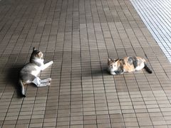 -ခြောက်ထပ်ကြီးရွှေသာလျောင်းဘုရားကြီး