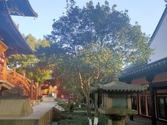 -枫桥夜泊