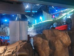 -海合安青岛极地海洋公园